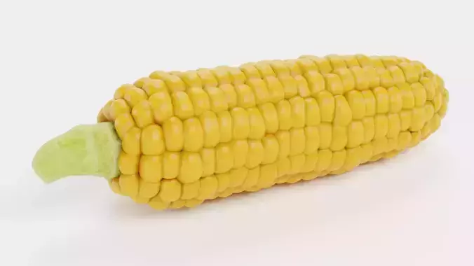 Corn V3 - Ear of Maize with Yellow Kernels 3D model 2
