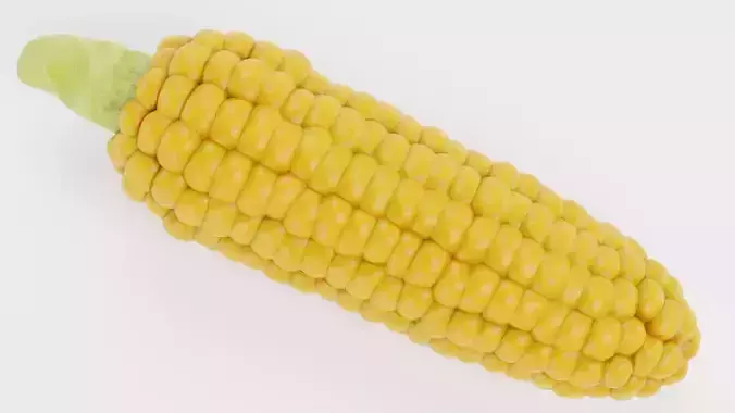 Corn V3 - Ear of Maize with Yellow Kernels 3D model 7