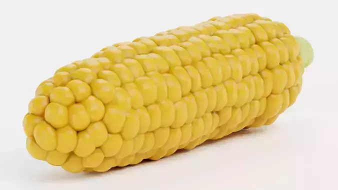 Corn V3 - Ear of Maize with Yellow Kernels 3D model 5