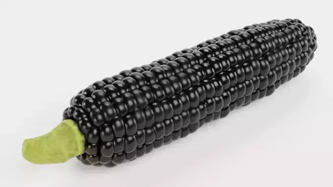 Corn V4 - Aztec Black Maize Ear with Dark Black Kernels 3D model 2