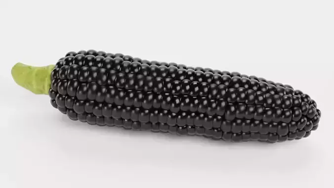 Corn V4 - Aztec Black Maize Ear with Dark Black Kernels 3D model 7