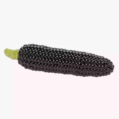 Corn V4 - Aztec Black Maize Ear with Dark Black Kernels 3D model