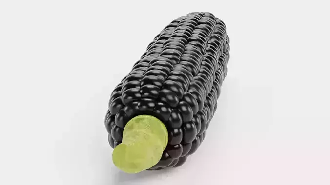 Corn V4 - Aztec Black Maize Ear with Dark Black Kernels 3D model 3