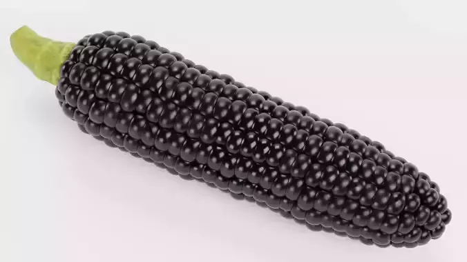 Corn V4 - Aztec Black Maize Ear with Dark Black Kernels 3D model 6