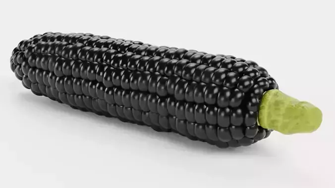 Corn V4 - Aztec Black Maize Ear with Dark Black Kernels 3D model 4