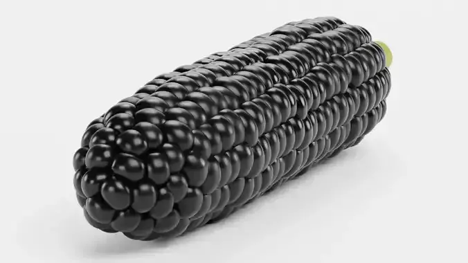 Corn V4 - Aztec Black Maize Ear with Dark Black Kernels 3D model 5