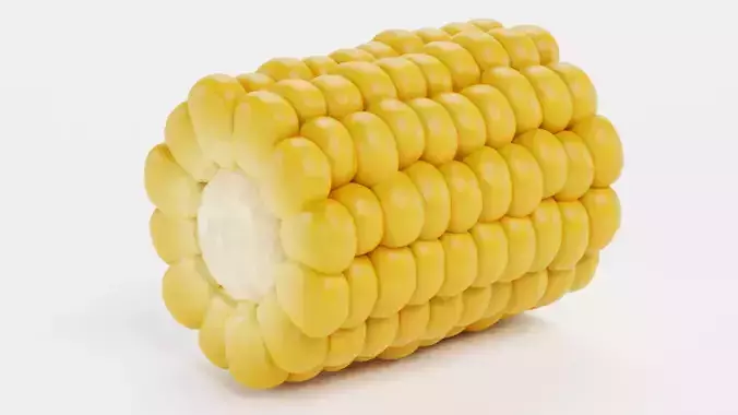 -Corn Cob Piece V1-