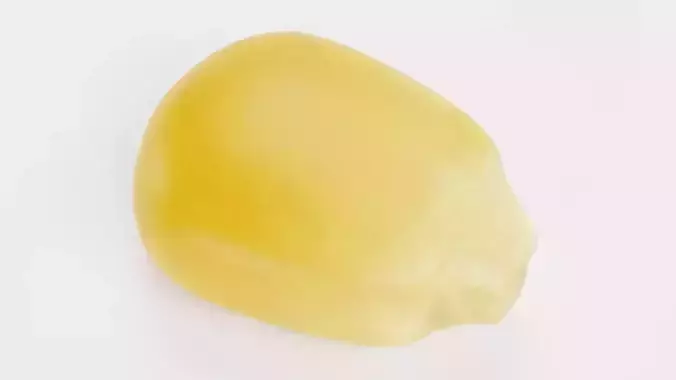 -Corn Seed-