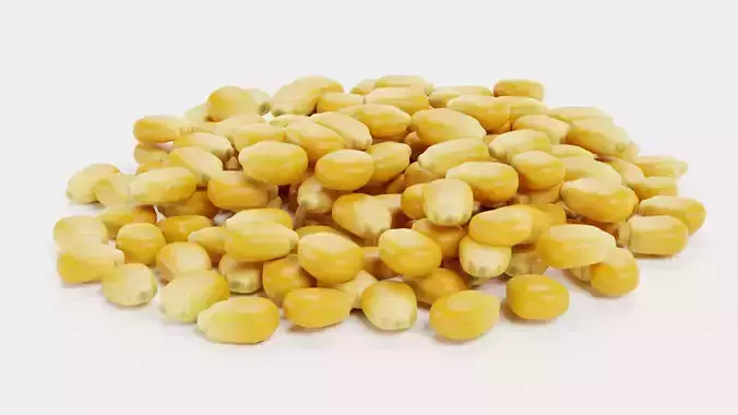 Pile of Corn Seeds - Classic Maize Kernels 3D model 6