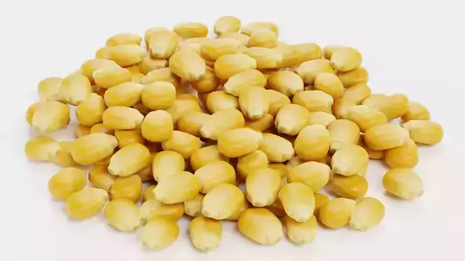 Pile of Corn Seeds - Classic Maize Kernels 3D model 5
