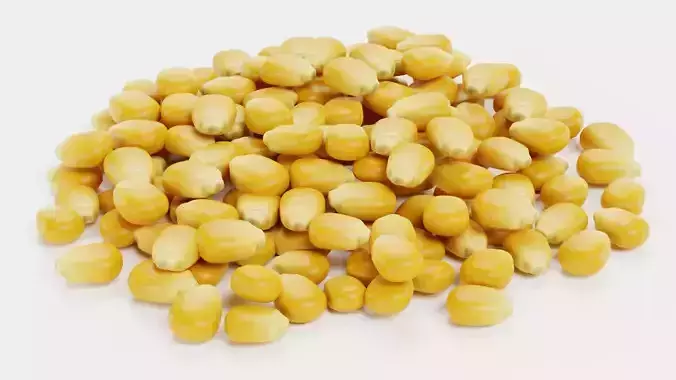 Pile of Corn Seeds - Classic Maize Kernels 3D model 4