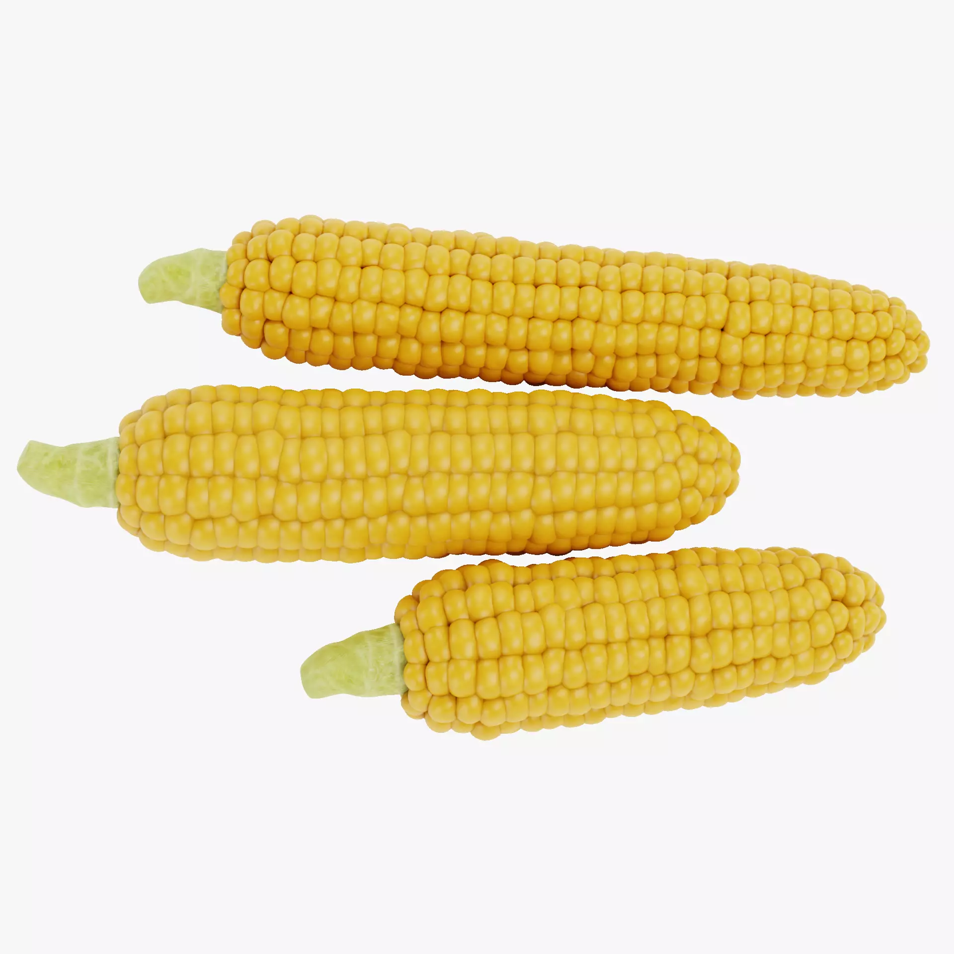 Corn Set V1 - Maize Ears Collection 3D model