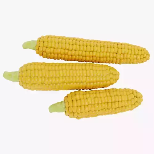 Corn Set V1 - Maize Ears Collection 3D model