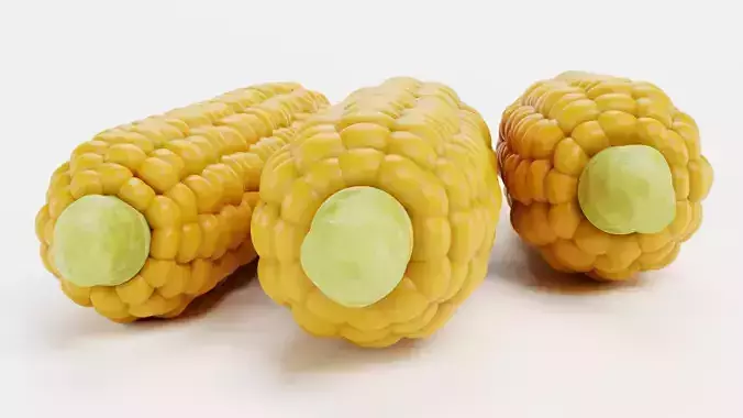 Corn Set V1 - Maize Ears Collection 3D model 3