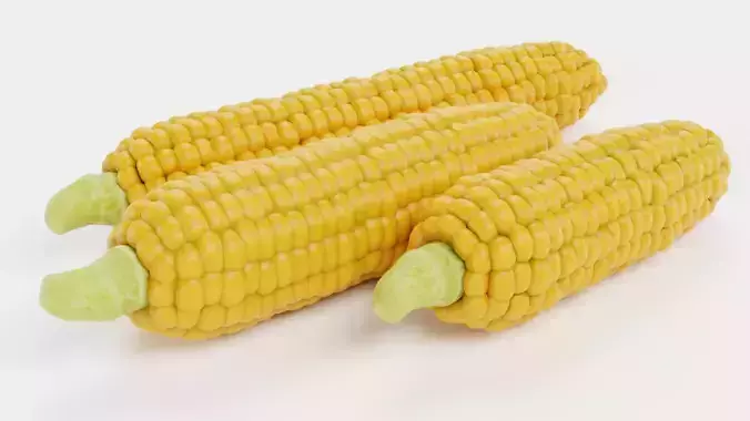 Corn Set V1 - Maize Ears Collection 3D model 2