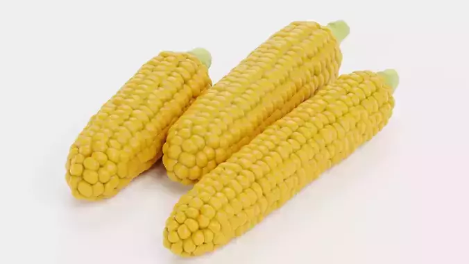 Corn Set V1 - Maize Ears Collection 3D model 5