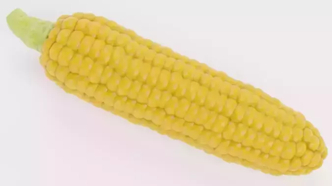 Corn Set V1 - Maize Ears Collection 3D model 7