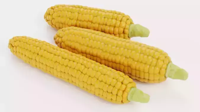 Corn Set V1 - Maize Ears Collection 3D model 4