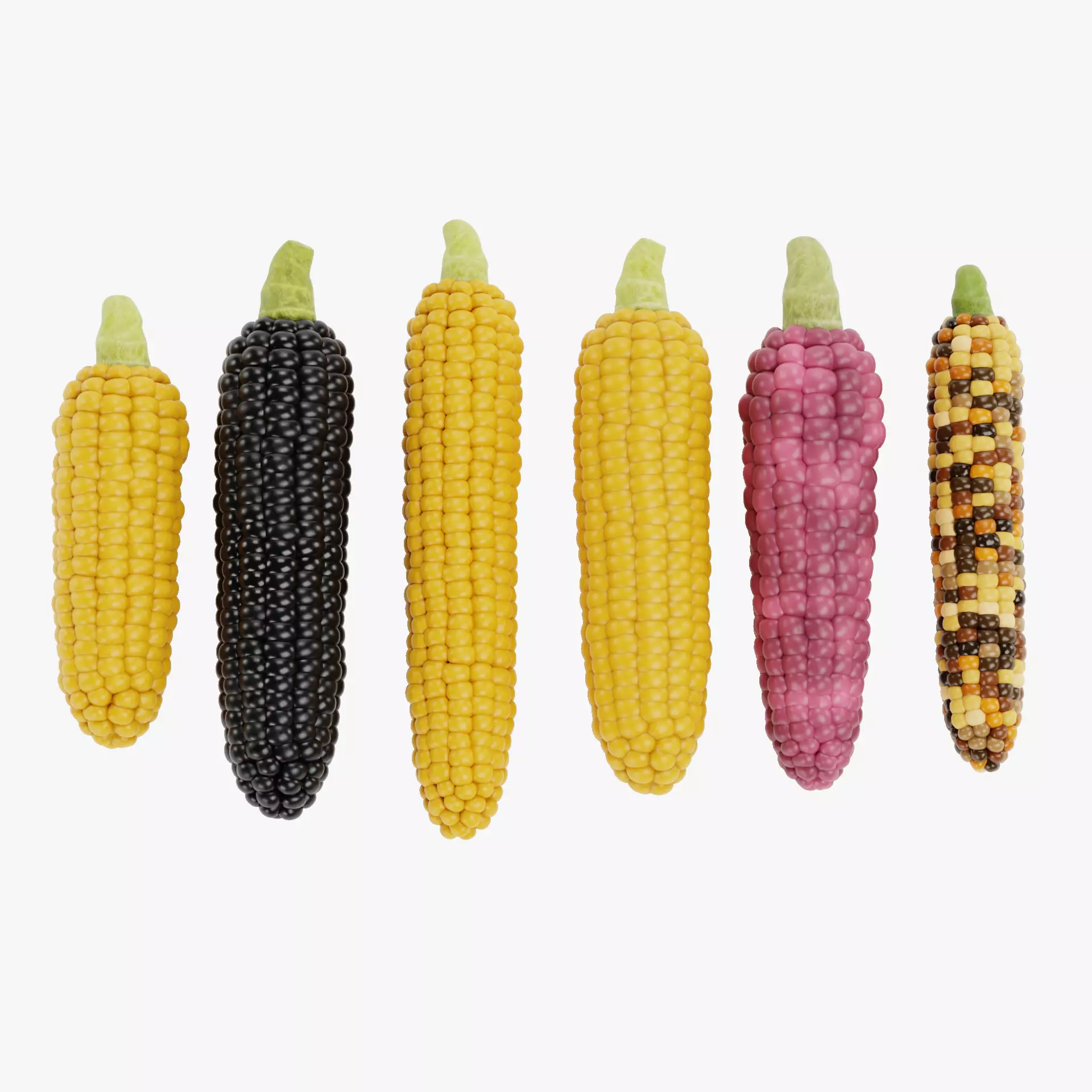 -Corn Set V2- 3D model_22