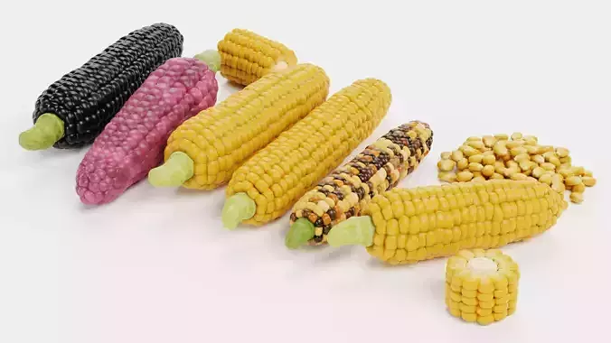 Corn Collection - Maize Ears Cob Pieces Kernels and Seeds Pile 3D model 4