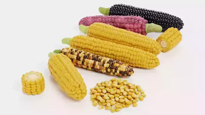 Corn Collection - Maize Ears Cob Pieces Kernels and Seeds Pile 3D model 3