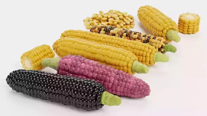 Corn Collection - Maize Ears Cob Pieces Kernels and Seeds Pile 3D model 5