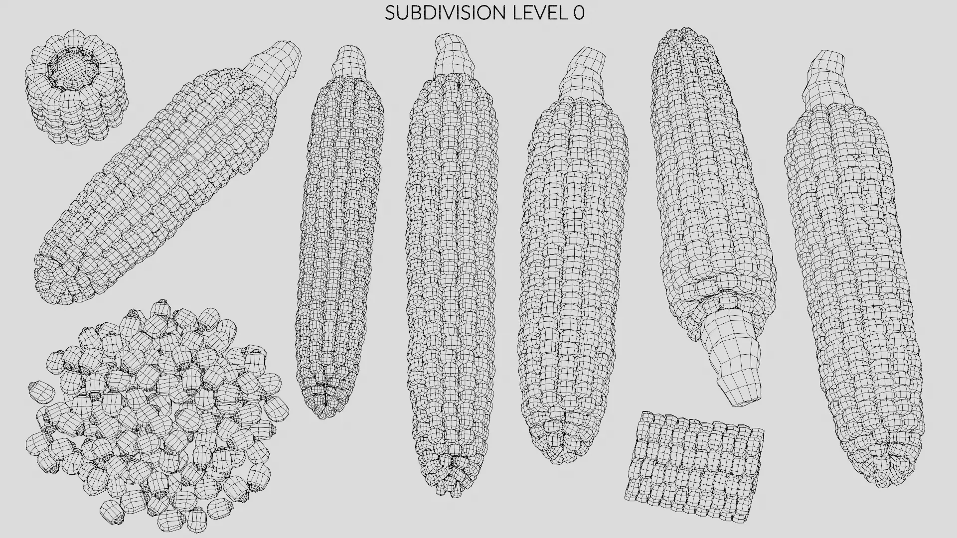 -Corn Collection V3- 3D model_24