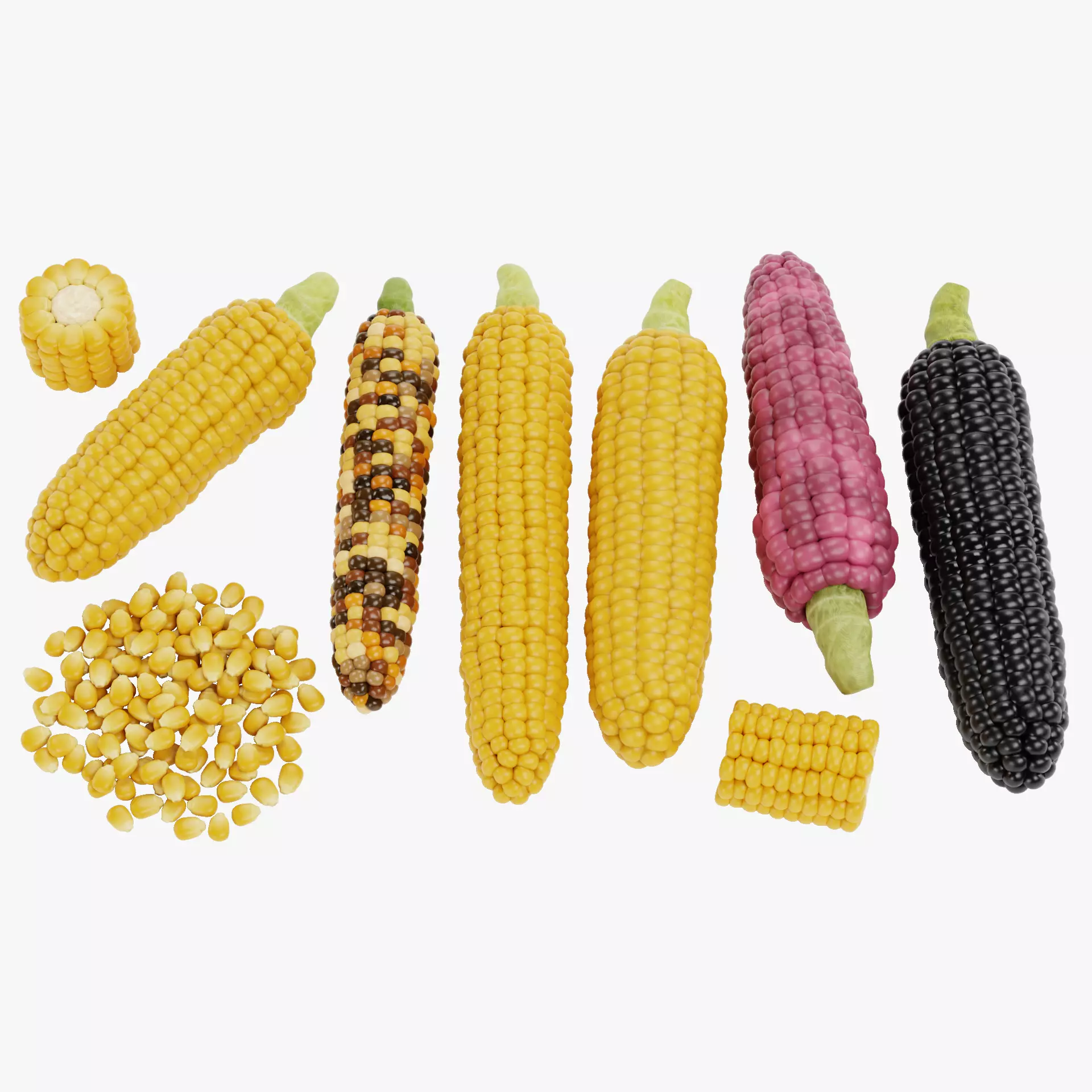 Corn Collection - Maize Ears Cob Pieces Kernels and Seeds Pile 3D model