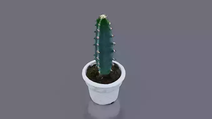 Potted Cactus Low-poly 3D model Potted Cactus Low-poly 3D model