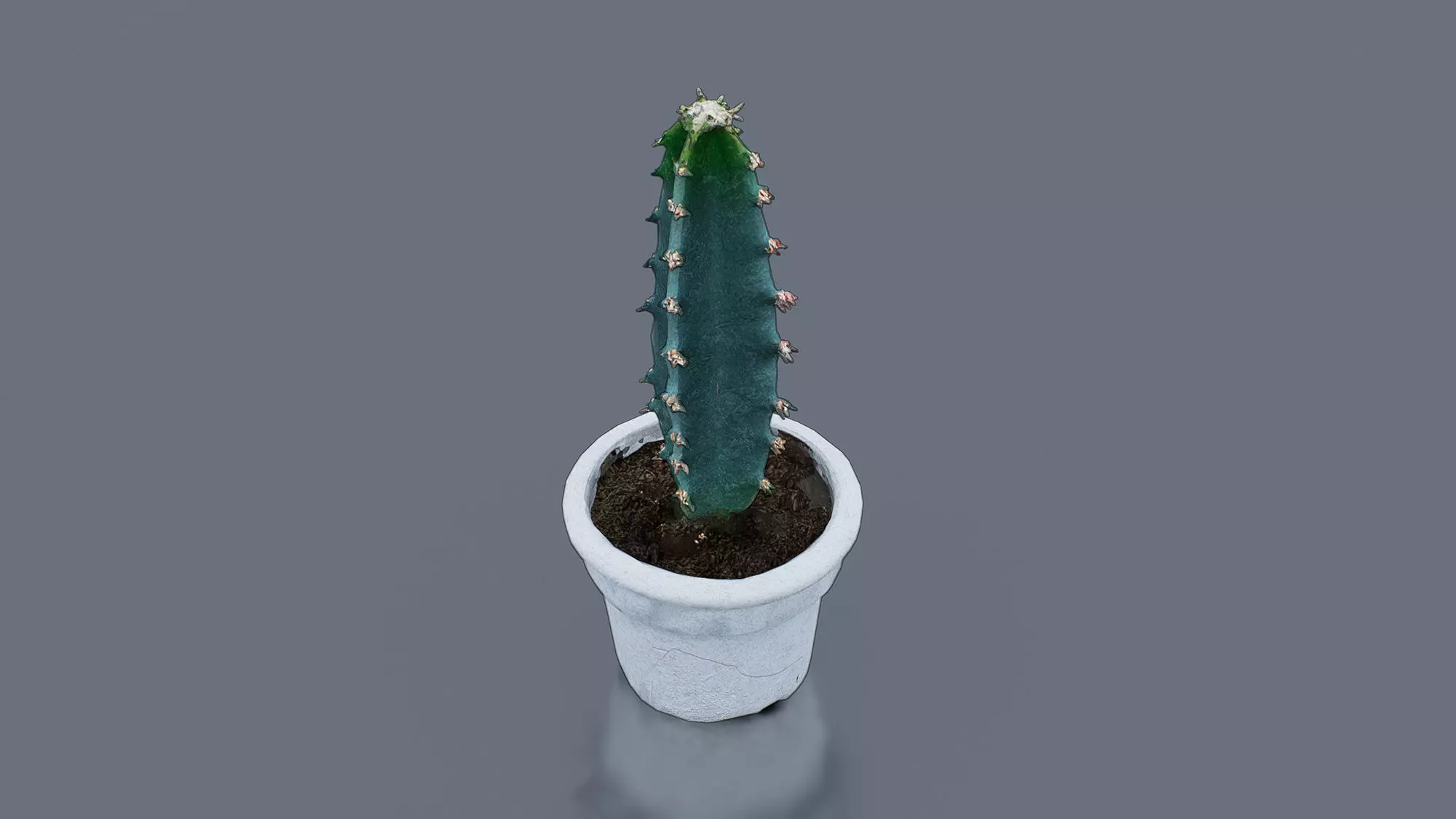 Potted Cactus Low-poly 3D model_0