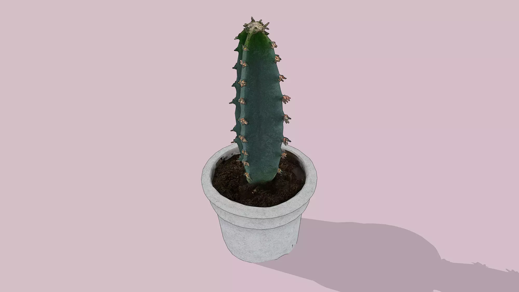 Potted Cactus Low-poly 3D model_3