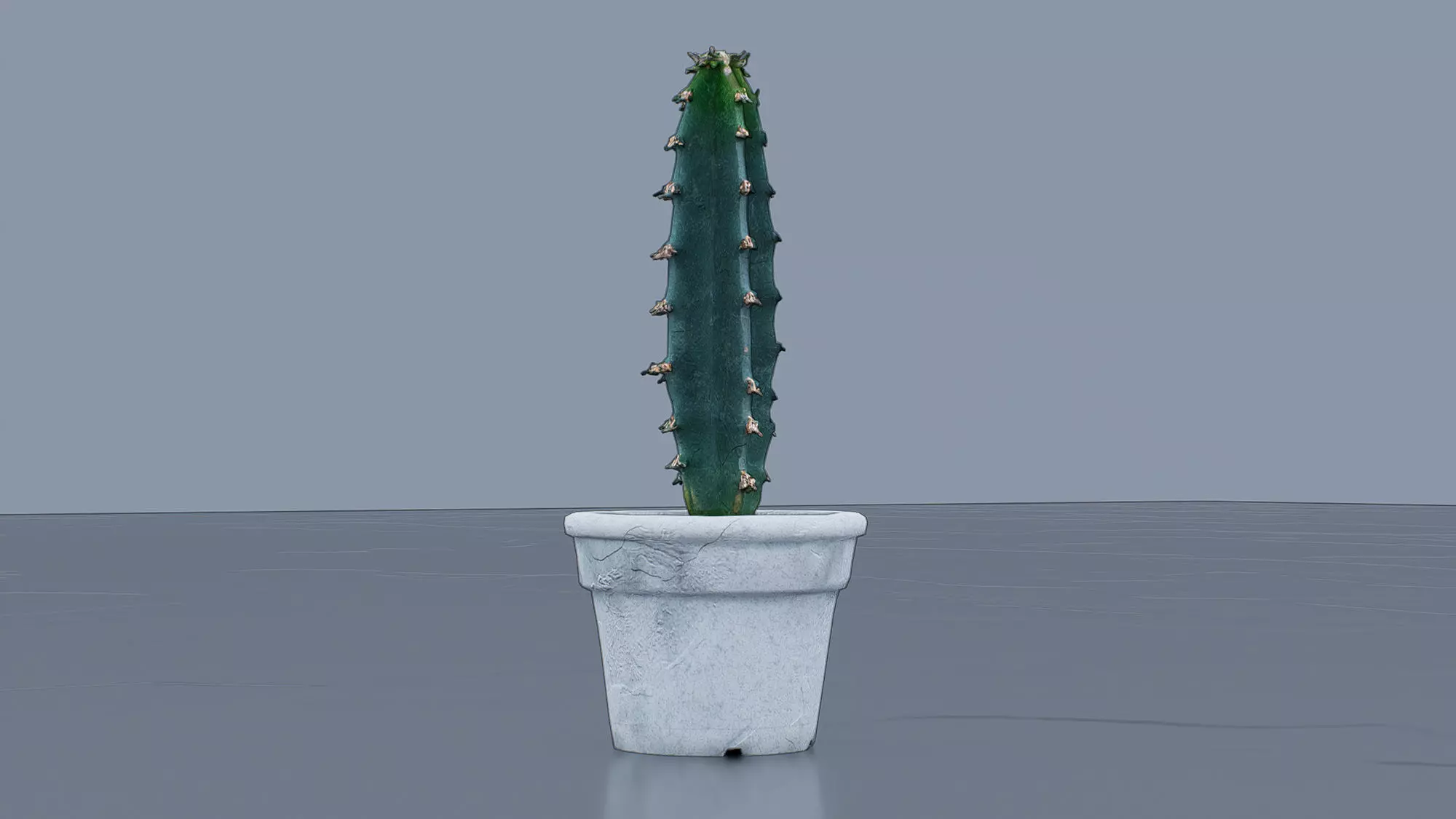 Potted Cactus Low-poly 3D model_1