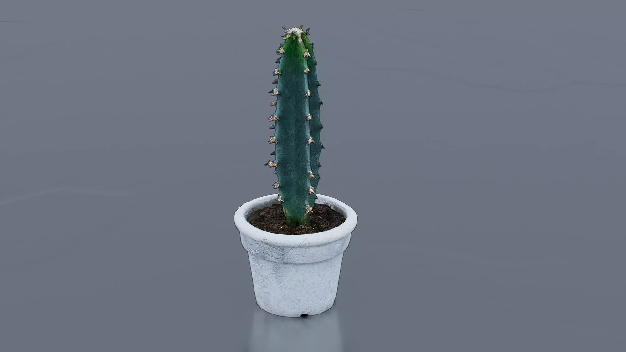 Potted Cactus Low-poly 3D model_6