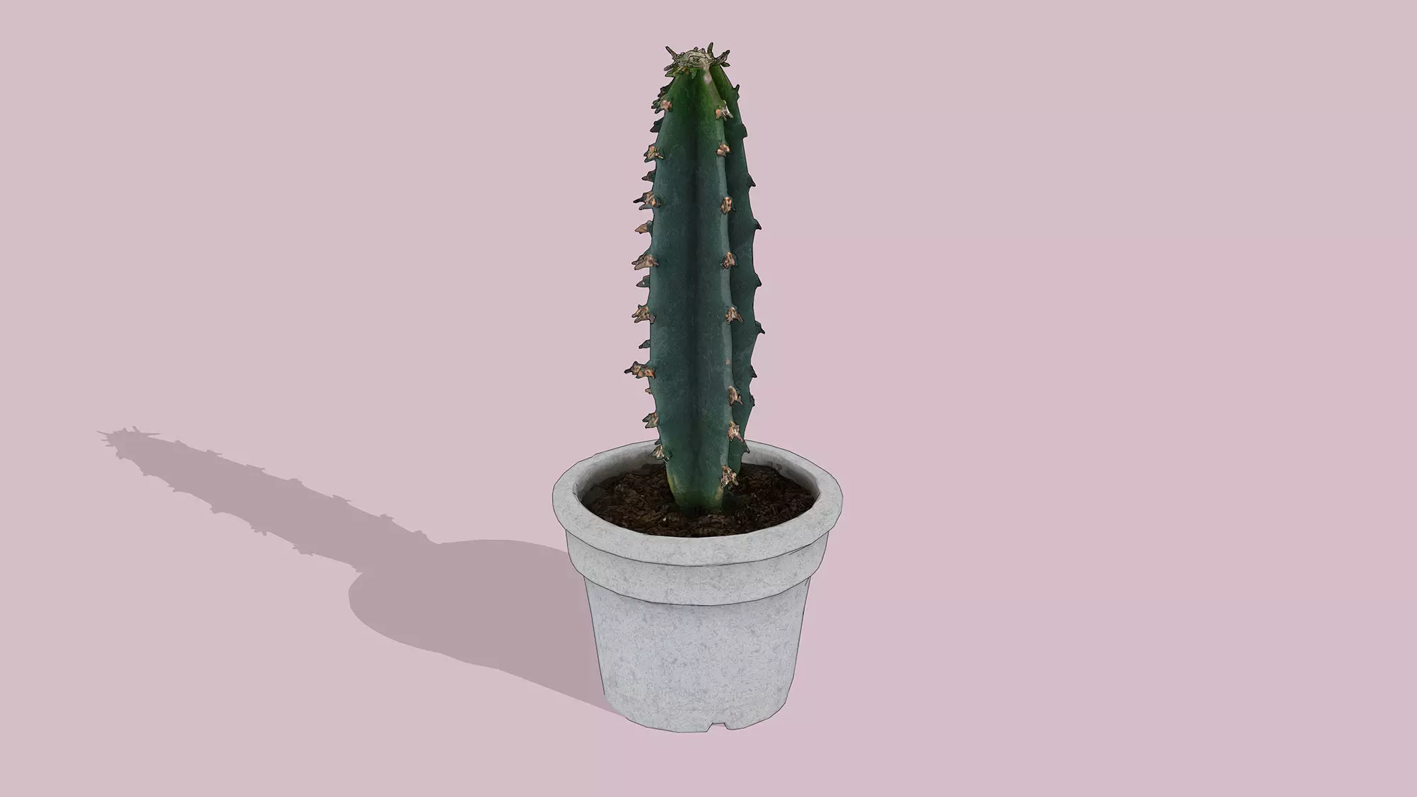 Potted Cactus Low-poly 3D model_2