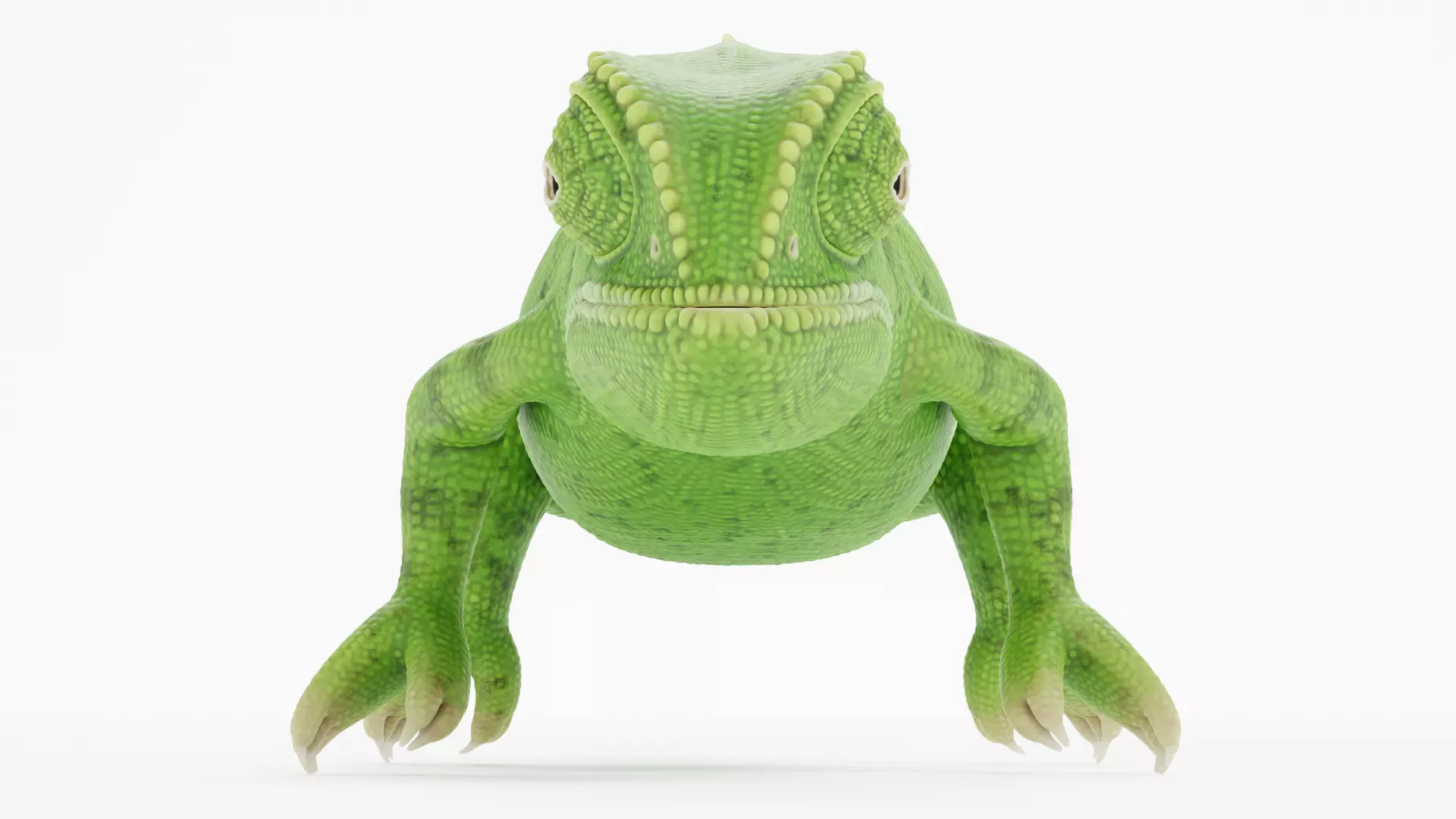 -Flap Necked Chameleon - Chamaeleo Dilepis- 3D model_8