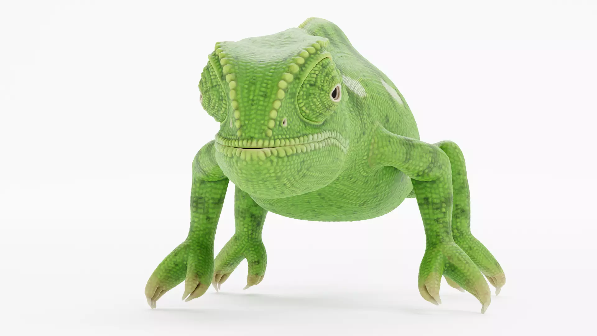-Flap Necked Chameleon - Chamaeleo Dilepis- 3D model_2