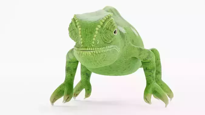 -Flap Necked Chameleon - Chamaeleo Dilepis-