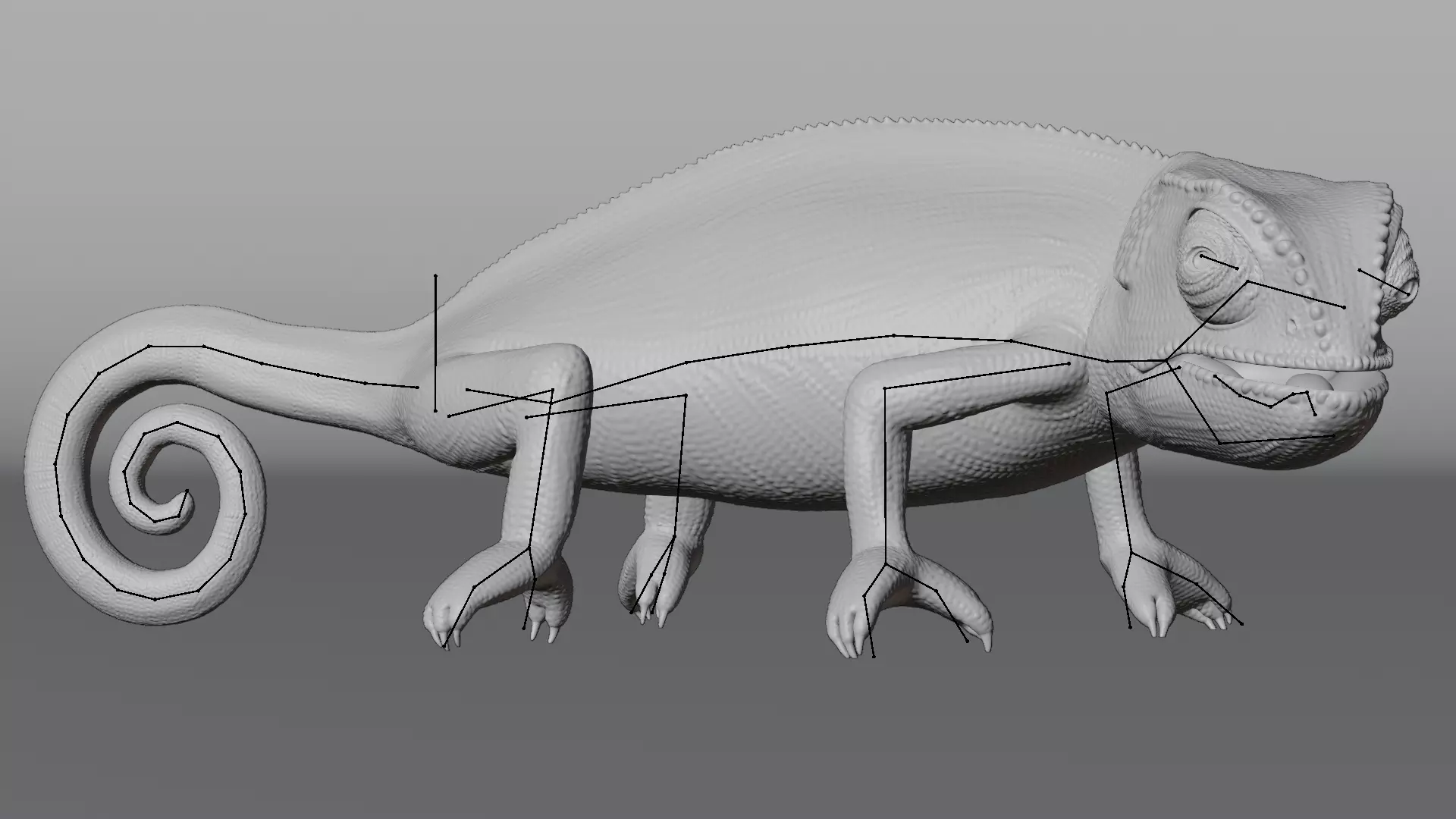-Flap Necked Chameleon - Chamaeleo Dilepis Rigged- 3D model_2