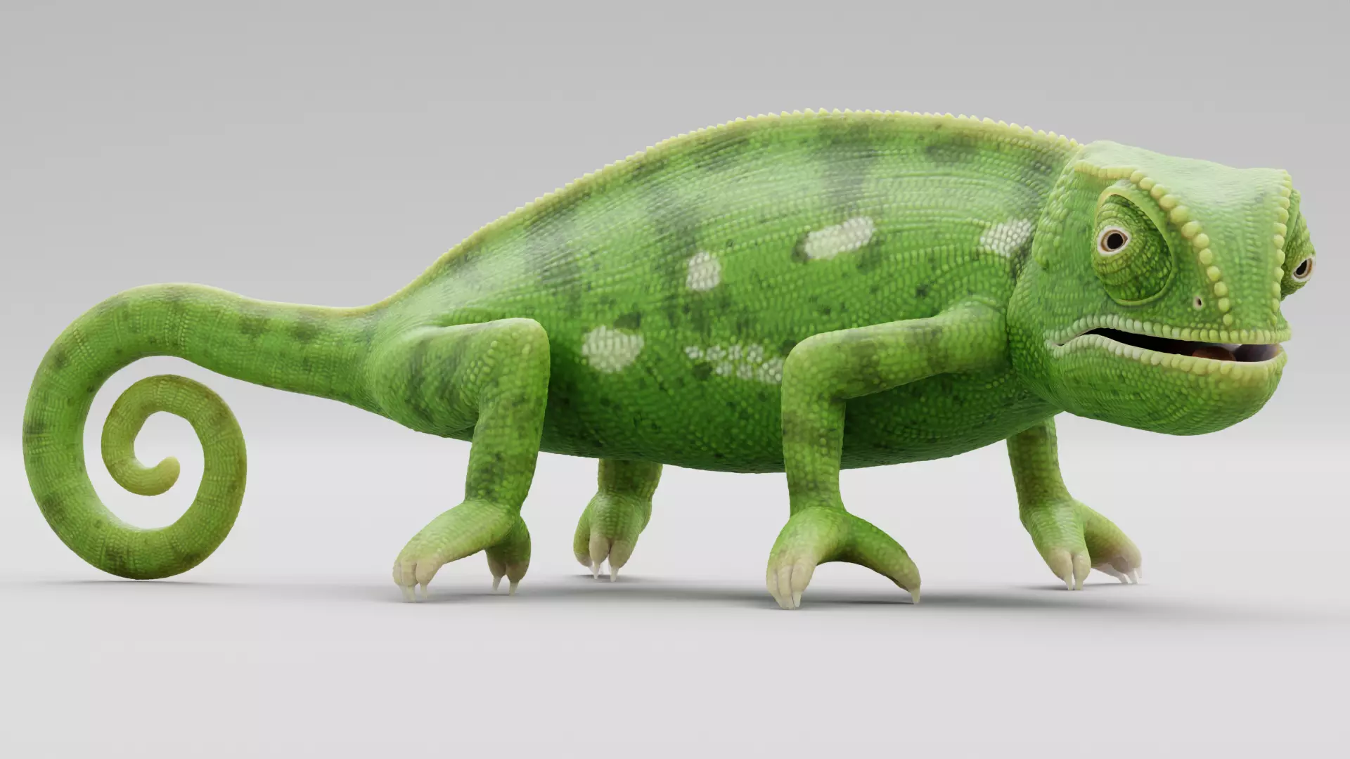 -Flap Necked Chameleon - Chamaeleo Dilepis Rigged- 3D model_0