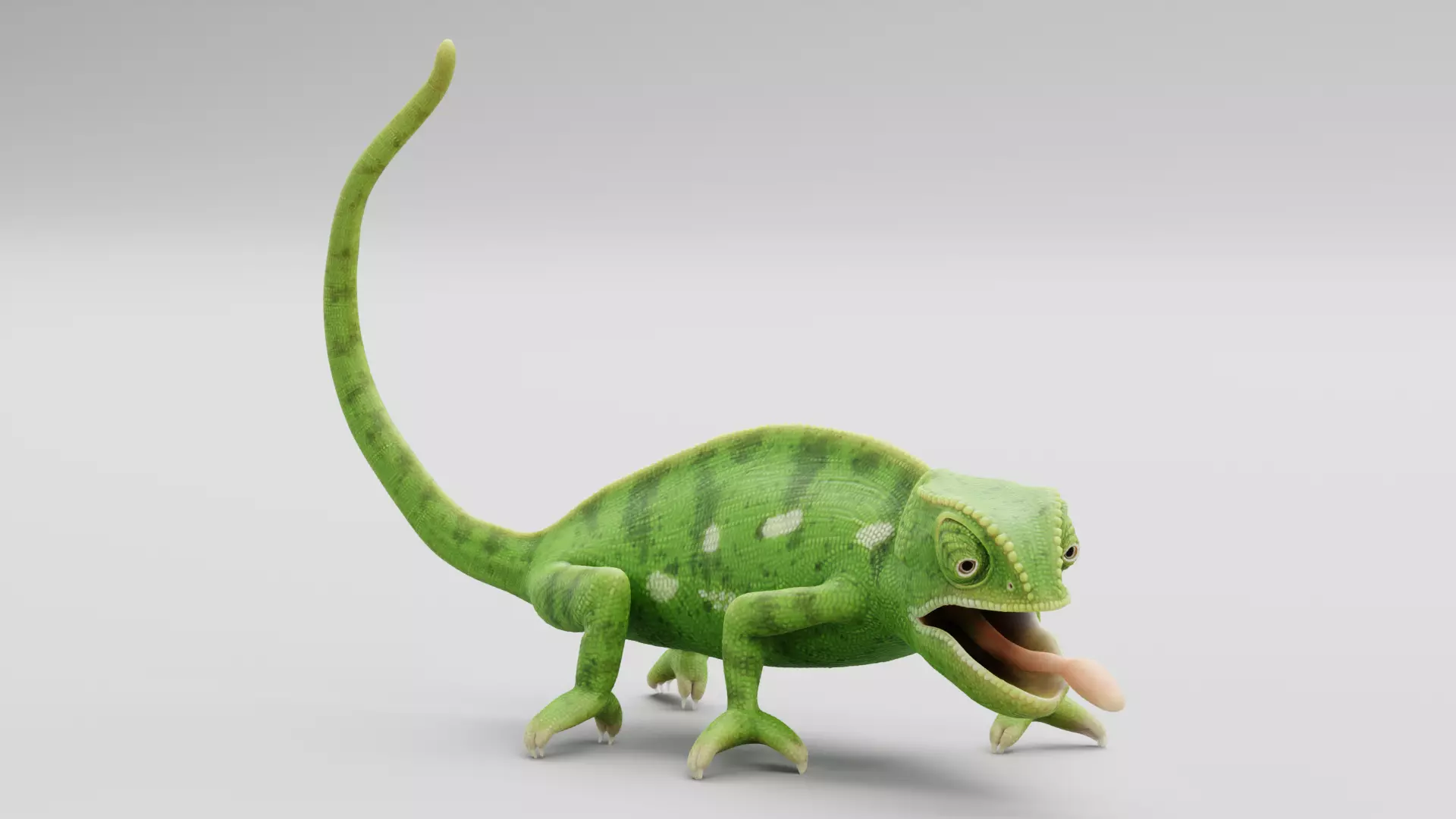 -Flap Necked Chameleon - Chamaeleo Dilepis Rigged- 3D model_9