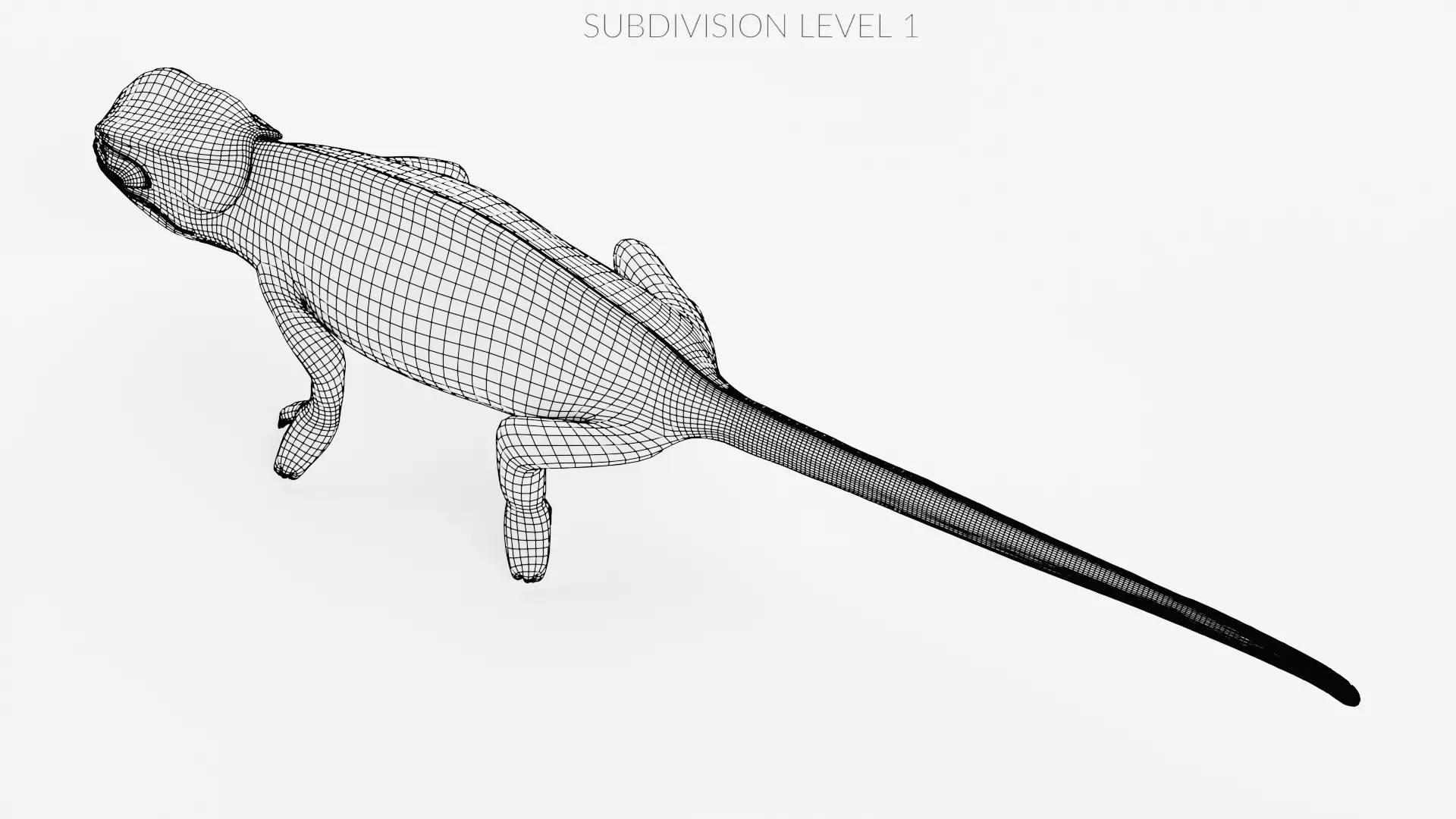 -Flap Necked Chameleon - Chamaeleo Dilepis Rigged- 3D model_17