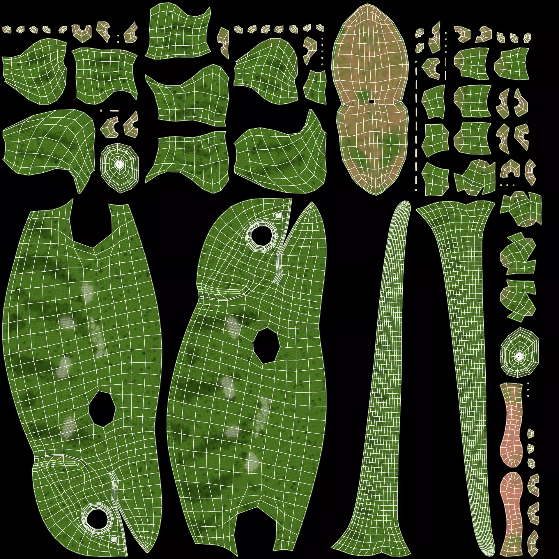 -Flap Necked Chameleon - Chamaeleo Dilepis Rigged- 3D model_13