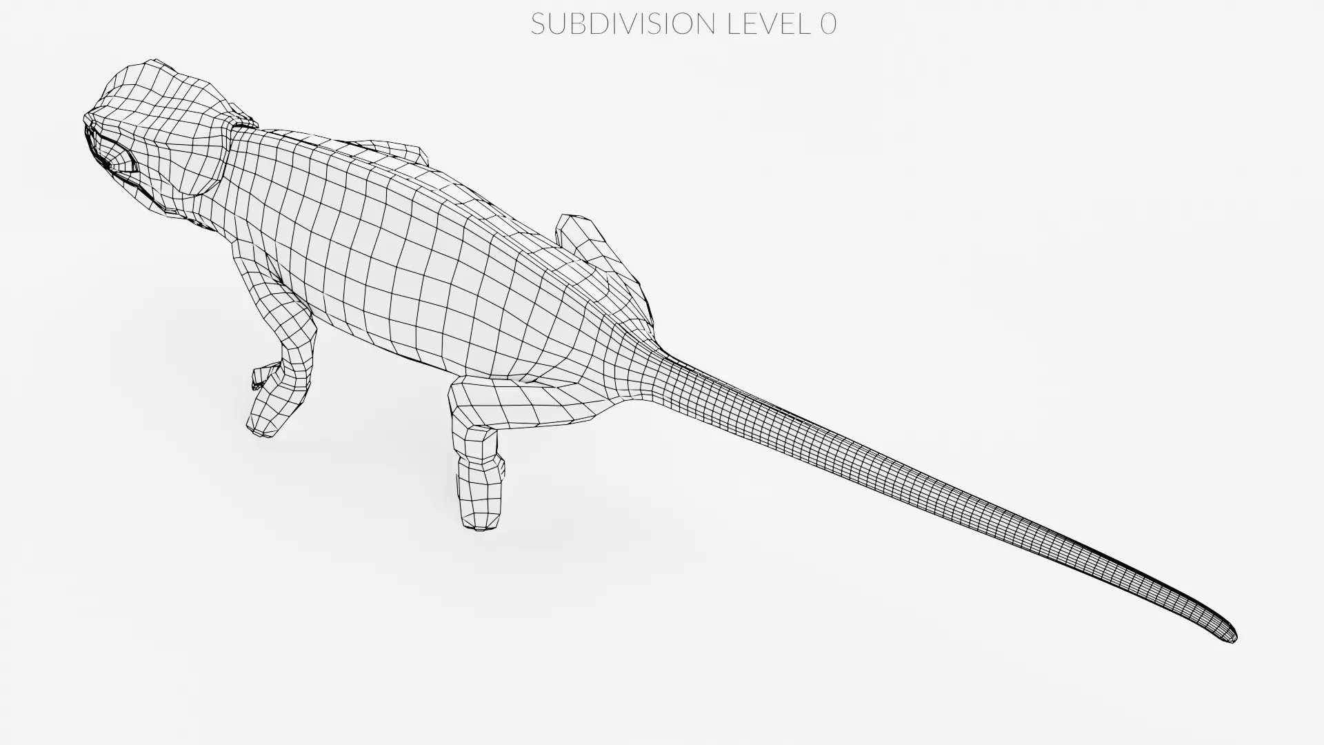 -Flap Necked Chameleon - Chamaeleo Dilepis Rigged- 3D model_16