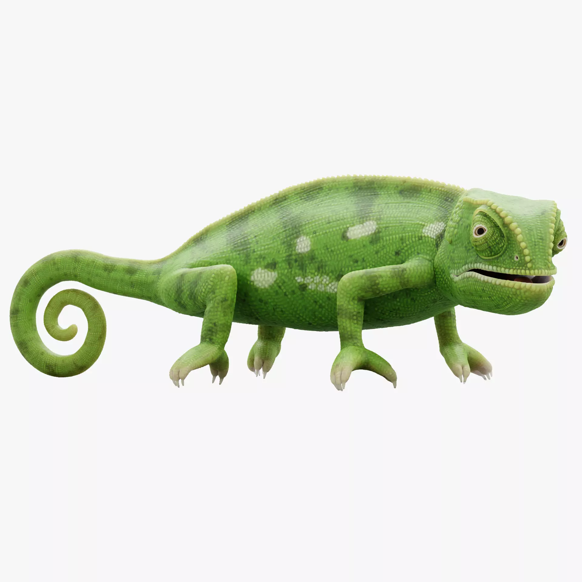 -Flap Necked Chameleon - Chamaeleo Dilepis Rigged- 3D model_20