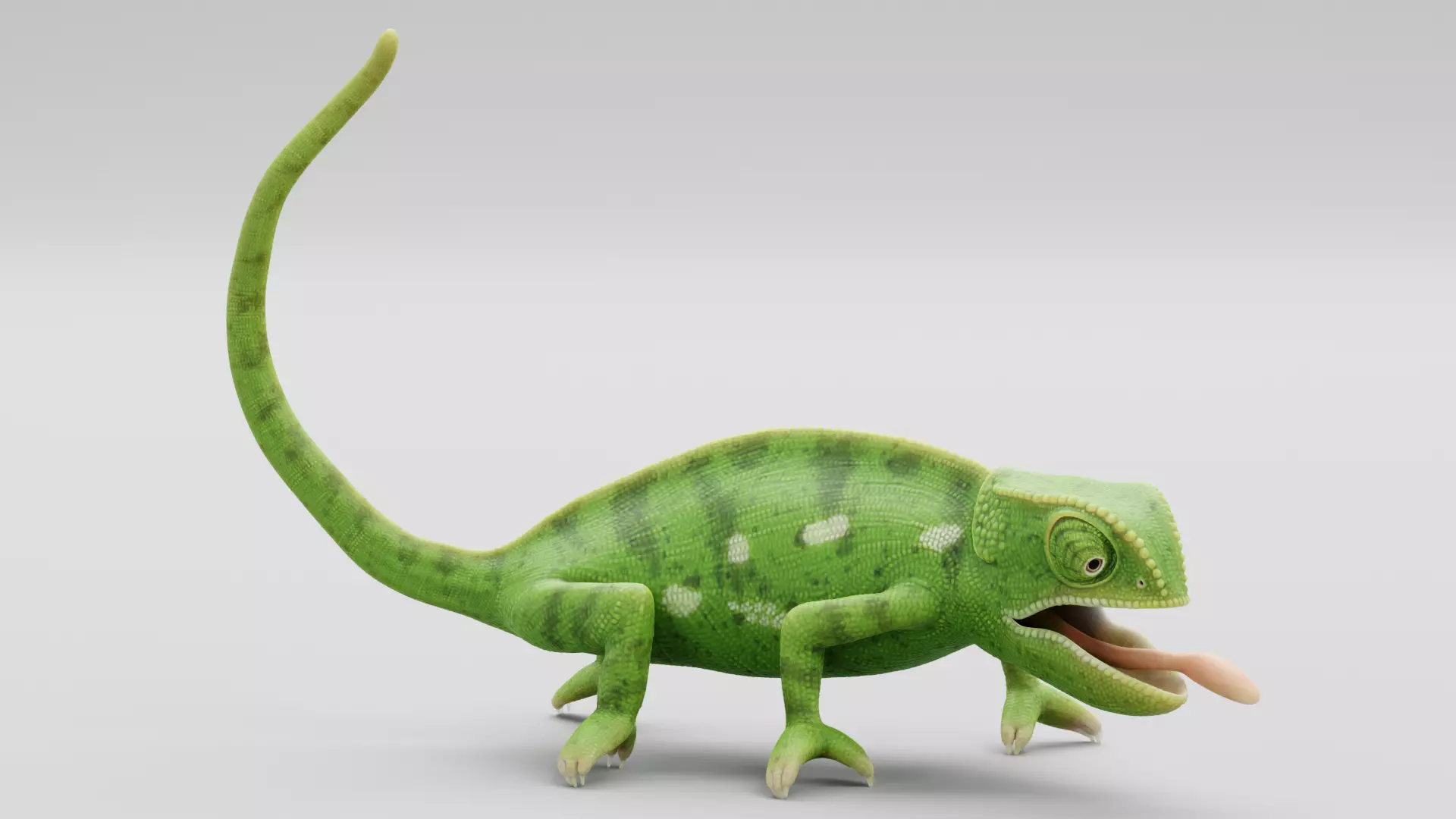 -Flap Necked Chameleon - Chamaeleo Dilepis Rigged- 3D model_8