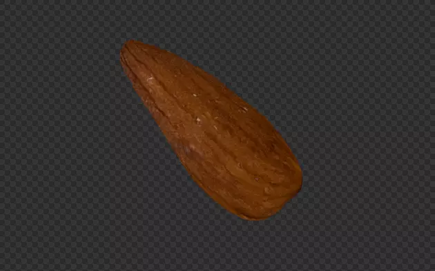 Almond 3d scanned model 3D model_1