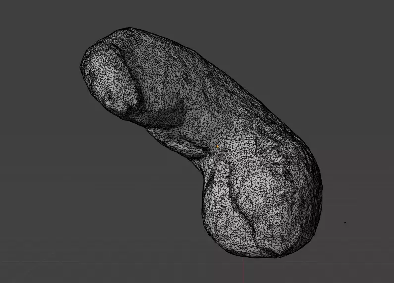 Cashew 3d scanned model 3D model_4