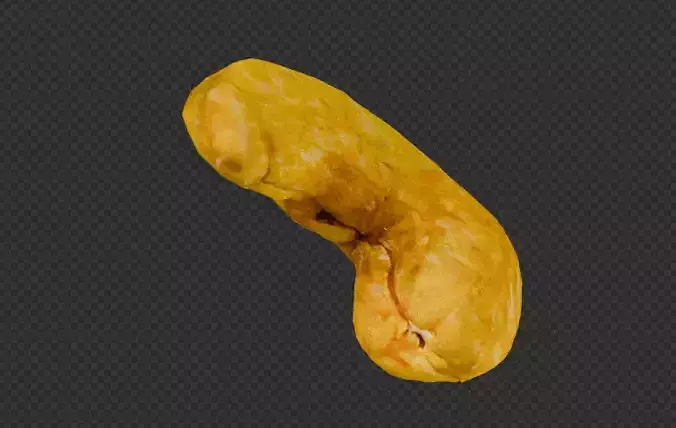 Cashew 3d scanned model