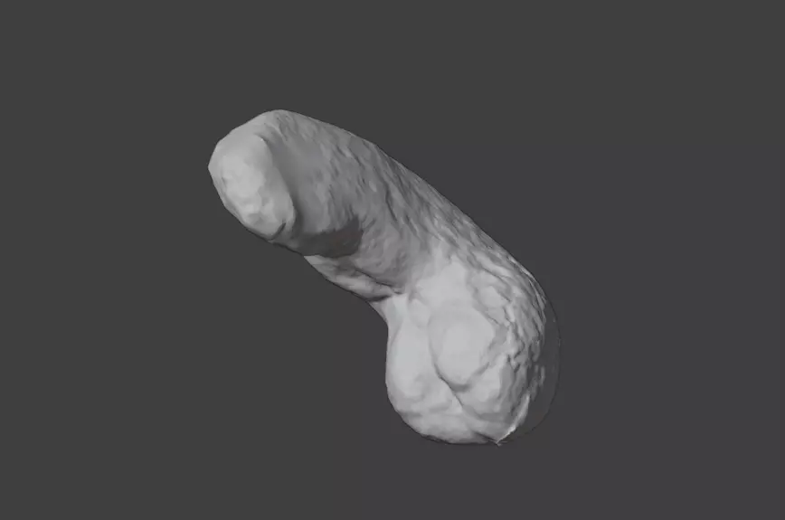 Cashew 3d scanned model 3D model_3