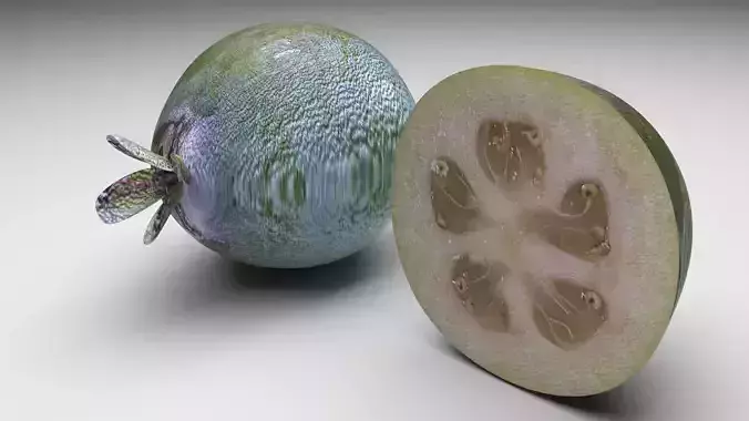 Feijoa